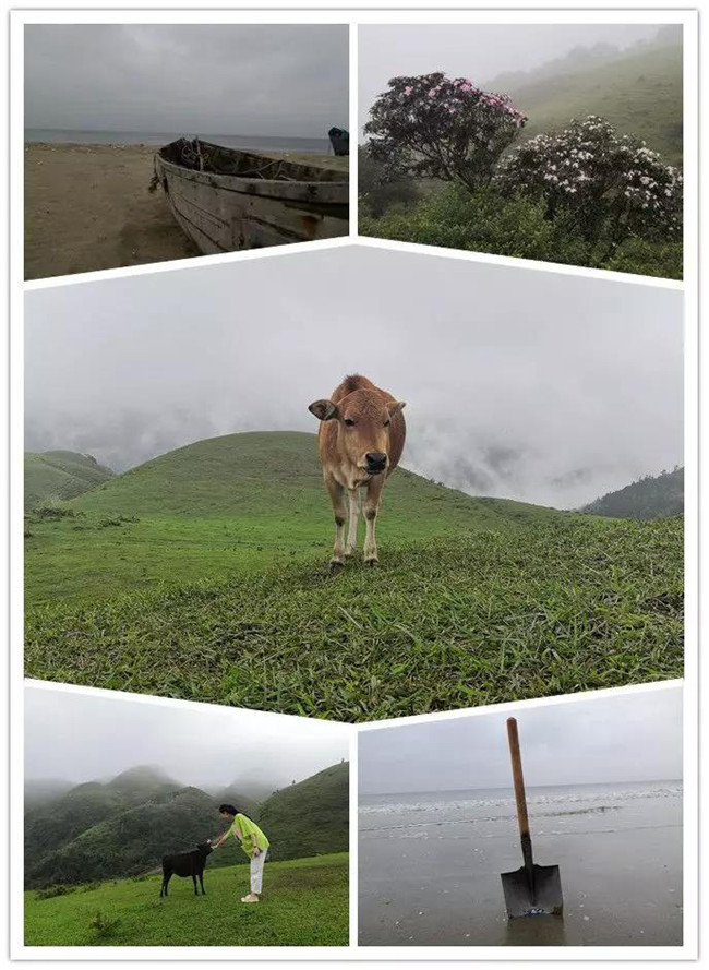 5月1日,陽西藍袍藍看海,陽春雞籠頂登山賞高山杜鵑