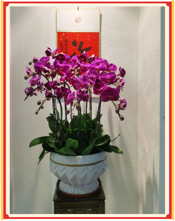 廣東博皓開工大吉丨金虎騰躍，兔來運轉           -23