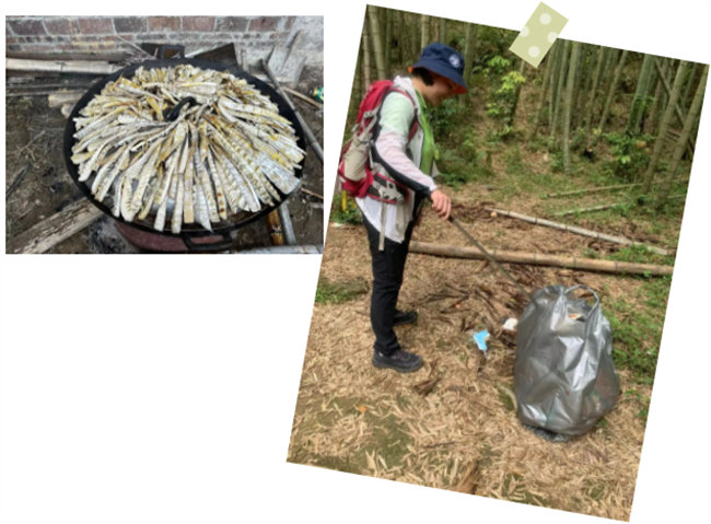 生命和綠色擁抱,人類與生態共存——2023年廣東博皓公益活動 -6