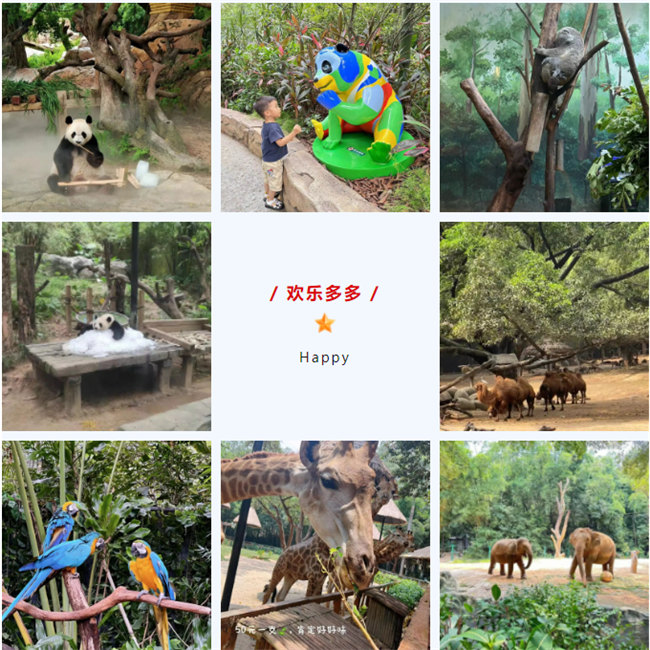 大手牽小手,快樂親子游!廣東博皓2023年親子游活動(dòng) -8