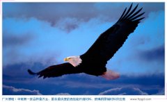 業(yè)績的背后