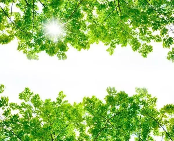 人生實苦，但請你足夠相信！